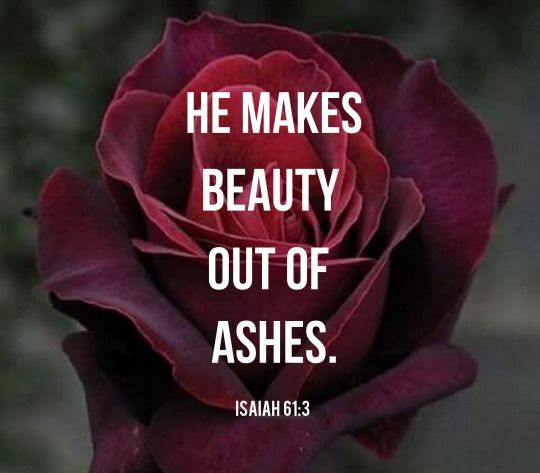 Beauty from ashes