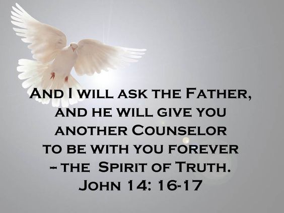 John 14 v 16 17