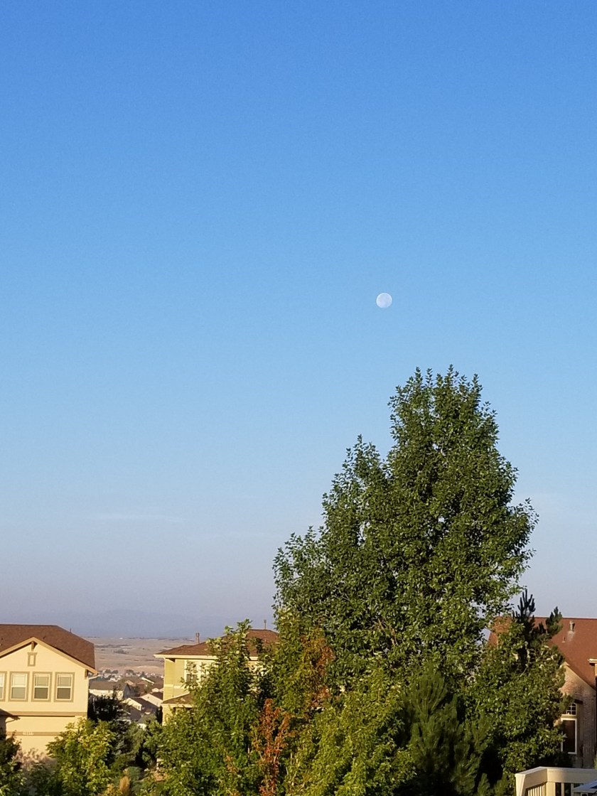 Morning moon 1