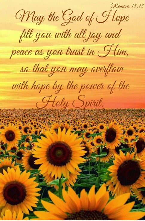 Romans 15 v 13 with sunflowers