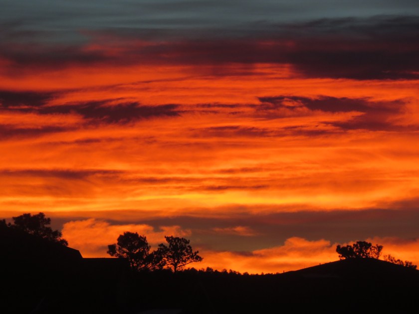 Sunrise (11) 12-10-16