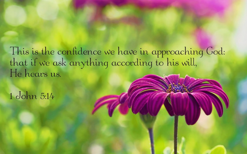 1 John 5 v 14