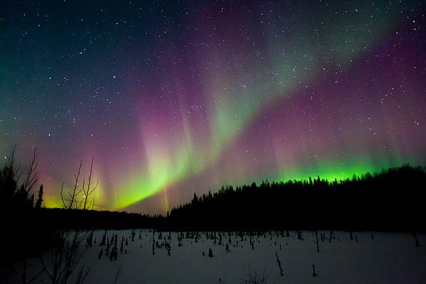 Alaska northern lights pink