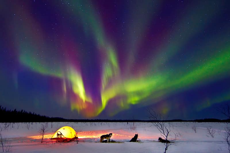 Alaska northern lights with dogs