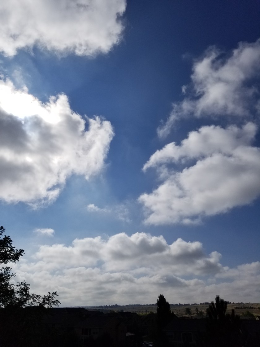 Back deck 9-7-18 (2)