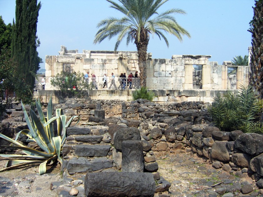 Capernaum Synagogue plants