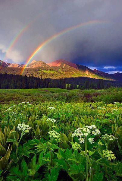 Colorado rainbow