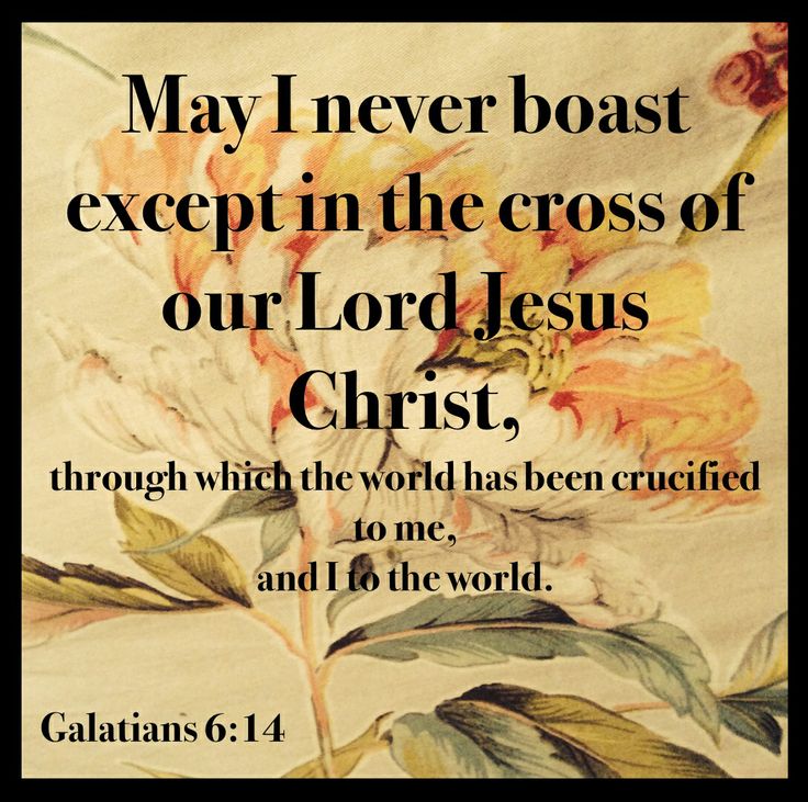 Galatians 6 v 14 boast in Christ