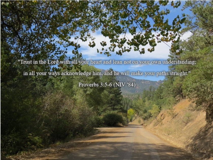 Pic quote Proverbs 3 v 5 &amp; 6 my pic