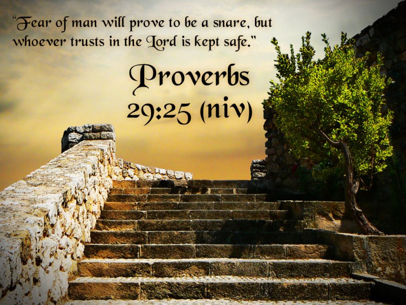 Proverbs 29 v 25