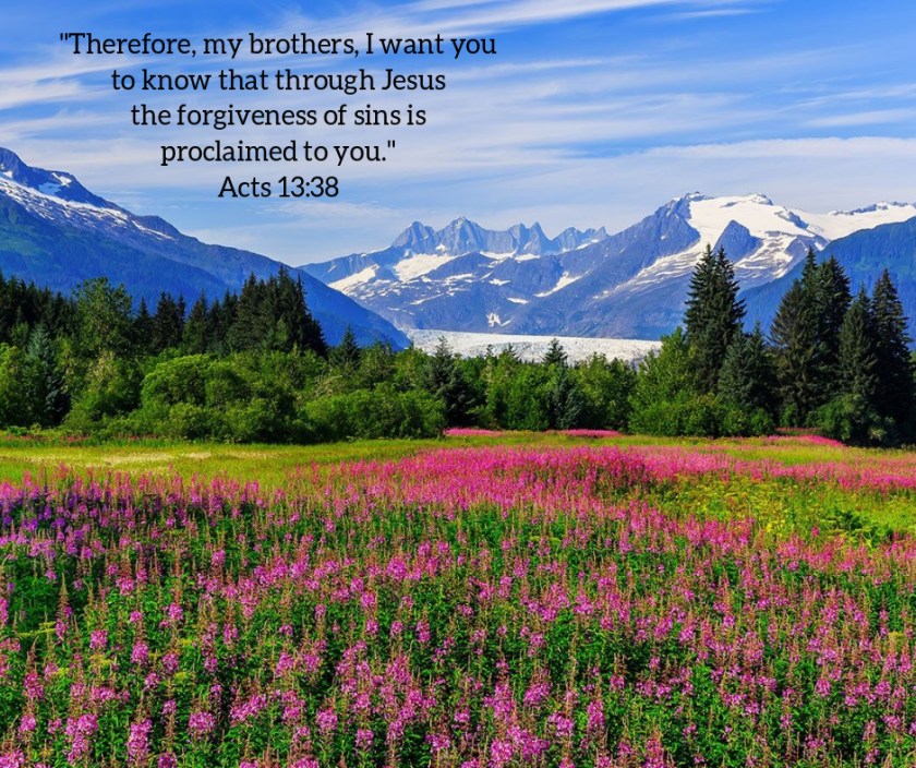 Pic quote Acts 13 v 38