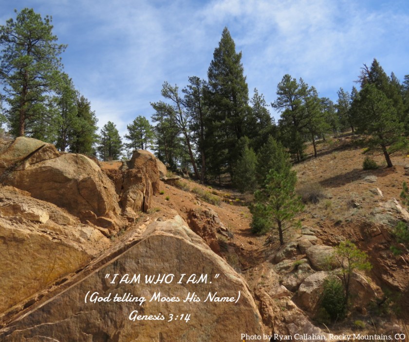 Pic quote Genesis 3 v 14