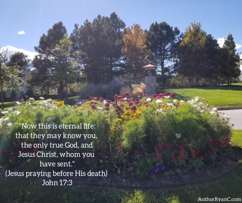 Pic quote John 17 v 3