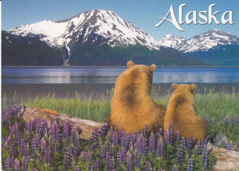 Alaska bear friends