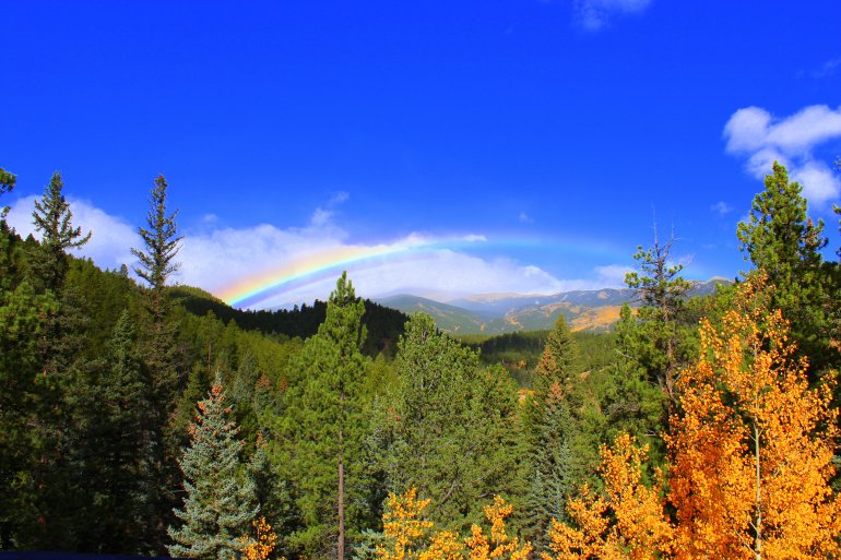 Colorado rainbow best