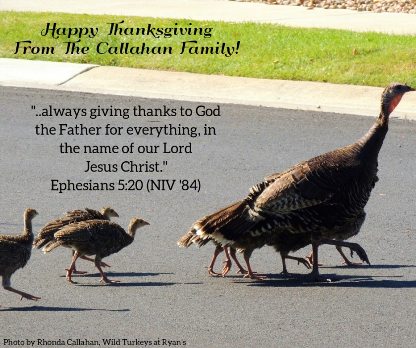 Pic quote Ephesians 5 v 20 turkeys