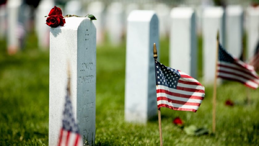 Veterans Day graves