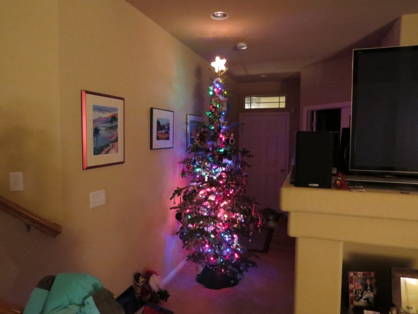 Christmas tree 18 camera