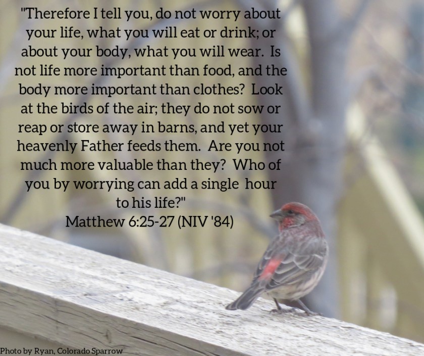 Pic quote Matthew 6 v 25