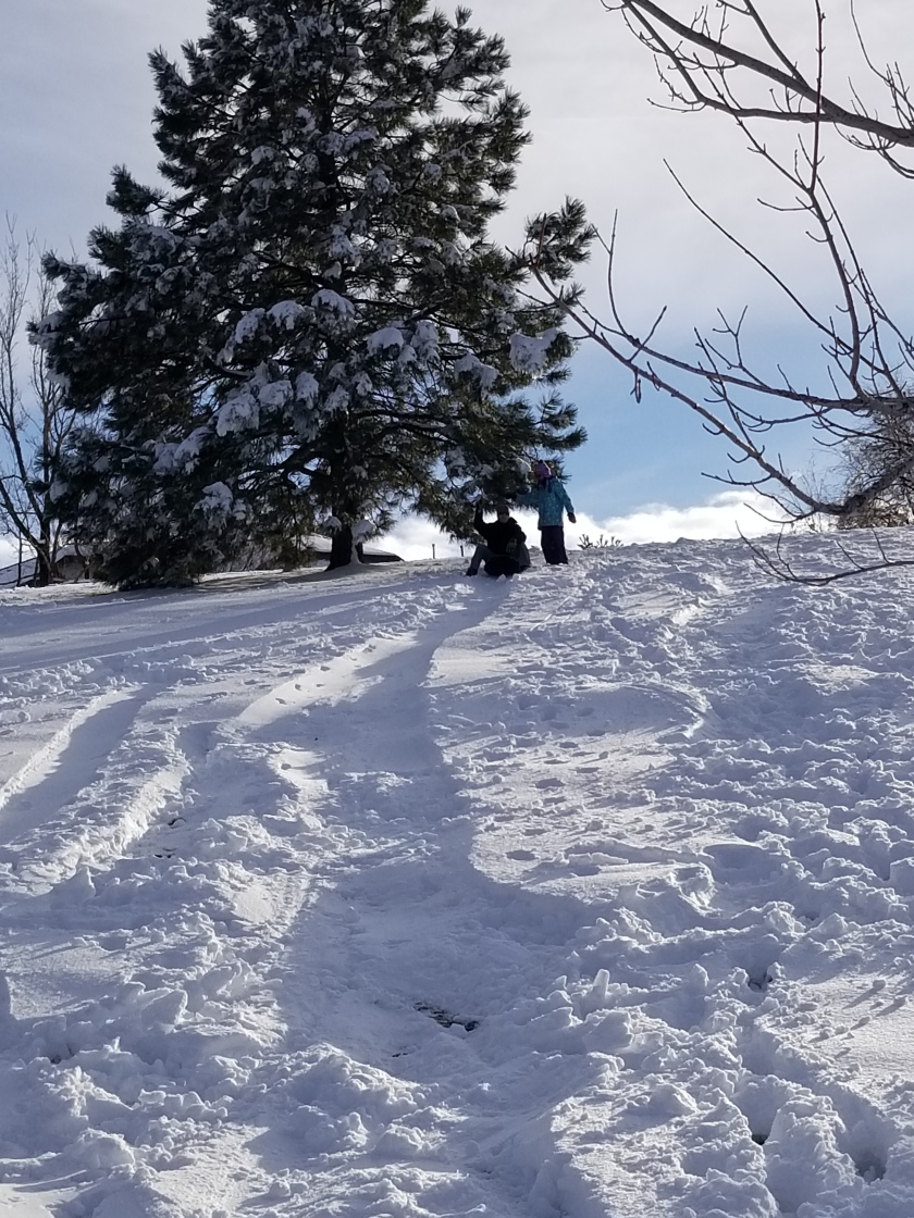 sledding 7