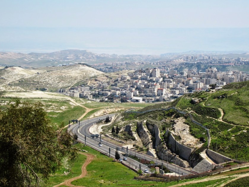 Bethany overlook by Susan Sontag