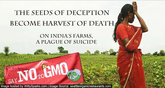GMO India