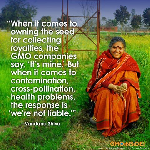 GMO truth India
