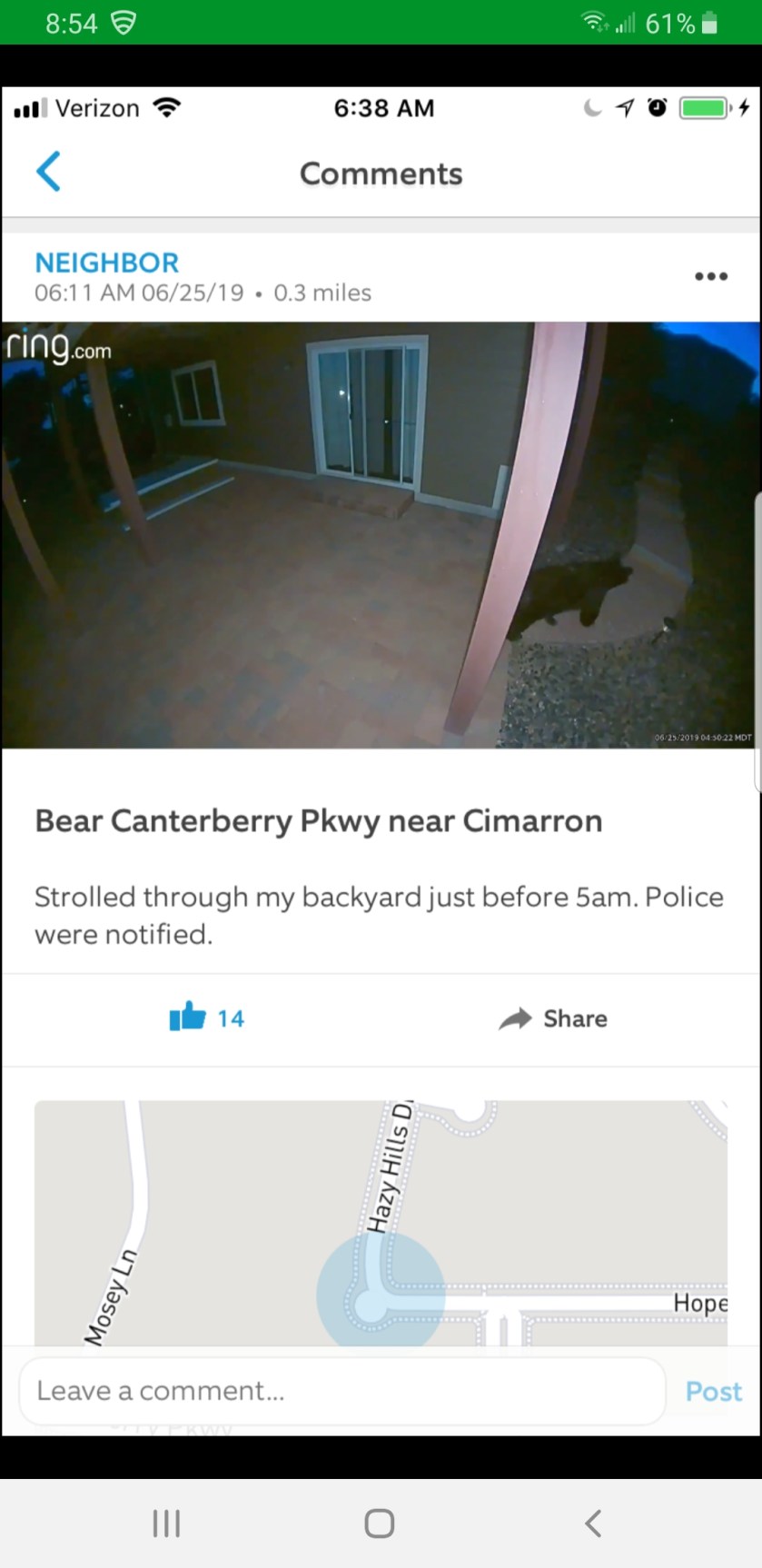 Bear sighting 6-25-19