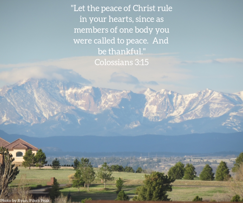 Pic quote Colossians 3 v 15