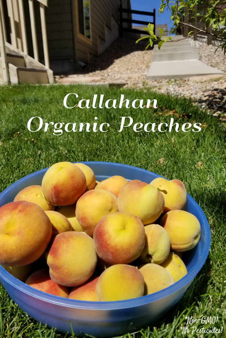 Callahan peaches