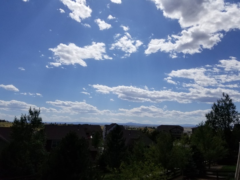 Peach harvest 2019 great day