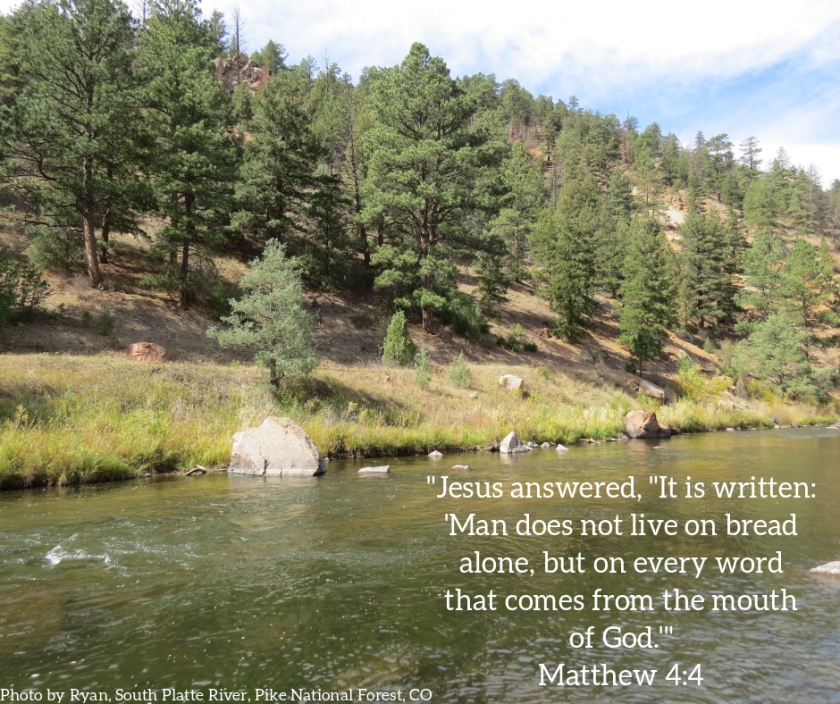 Pic quote Matthew 4 v 4 river