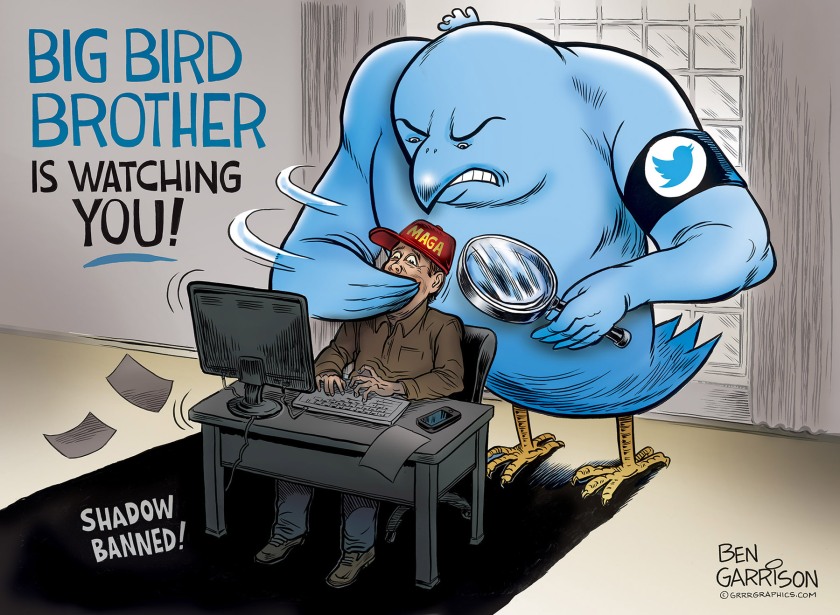 Twitter shadow ban